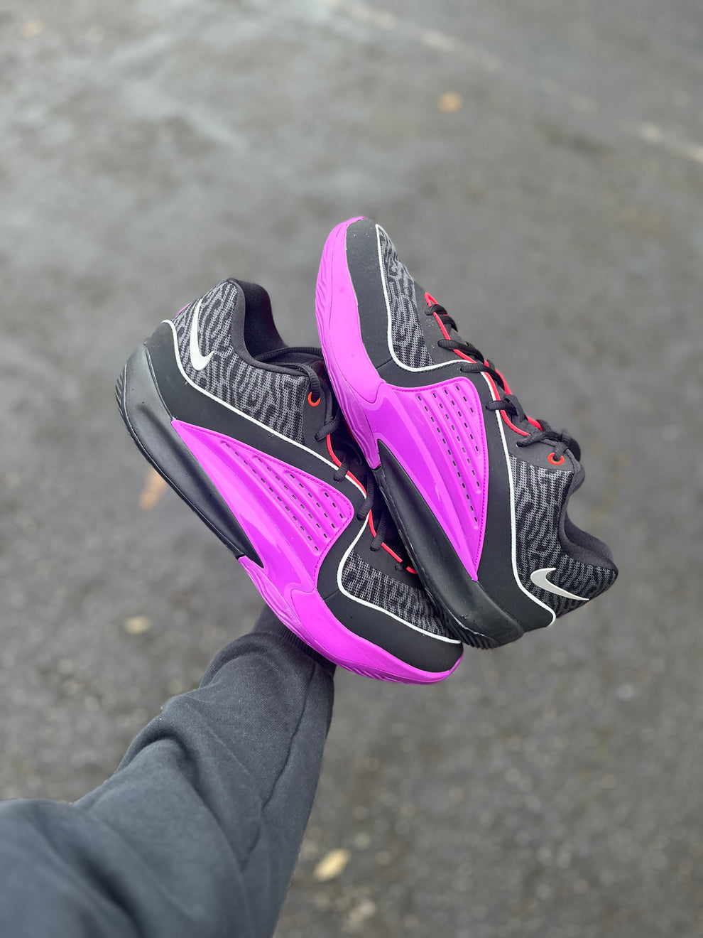 KD 16 Pathway Royalties