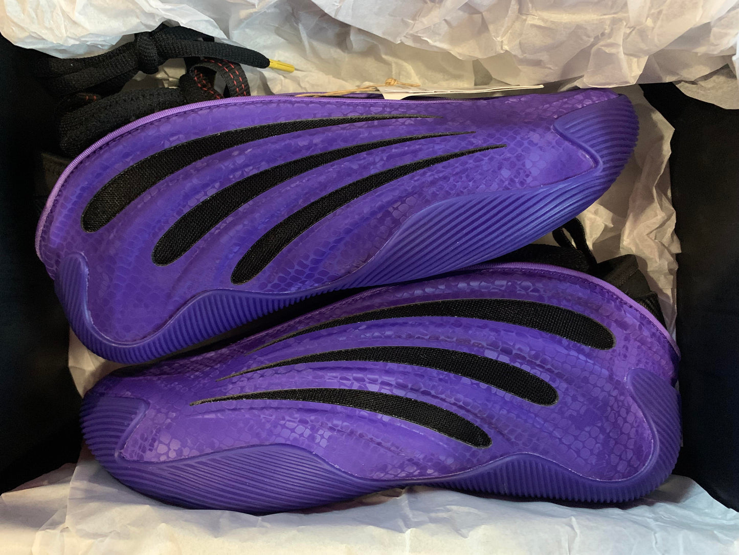 Harden 9 Year Of Snake