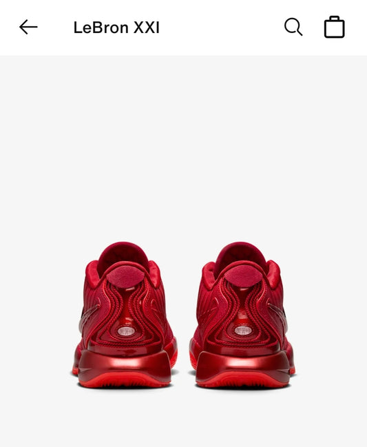 Lebron 21 James Gang