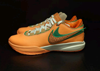 Lebron 20 x Famu University