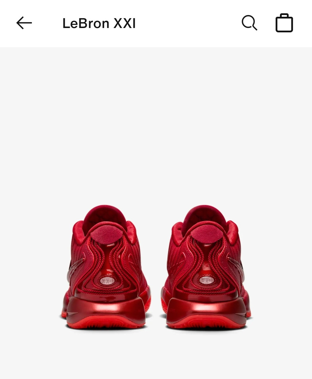 Lebron 21 James Gang